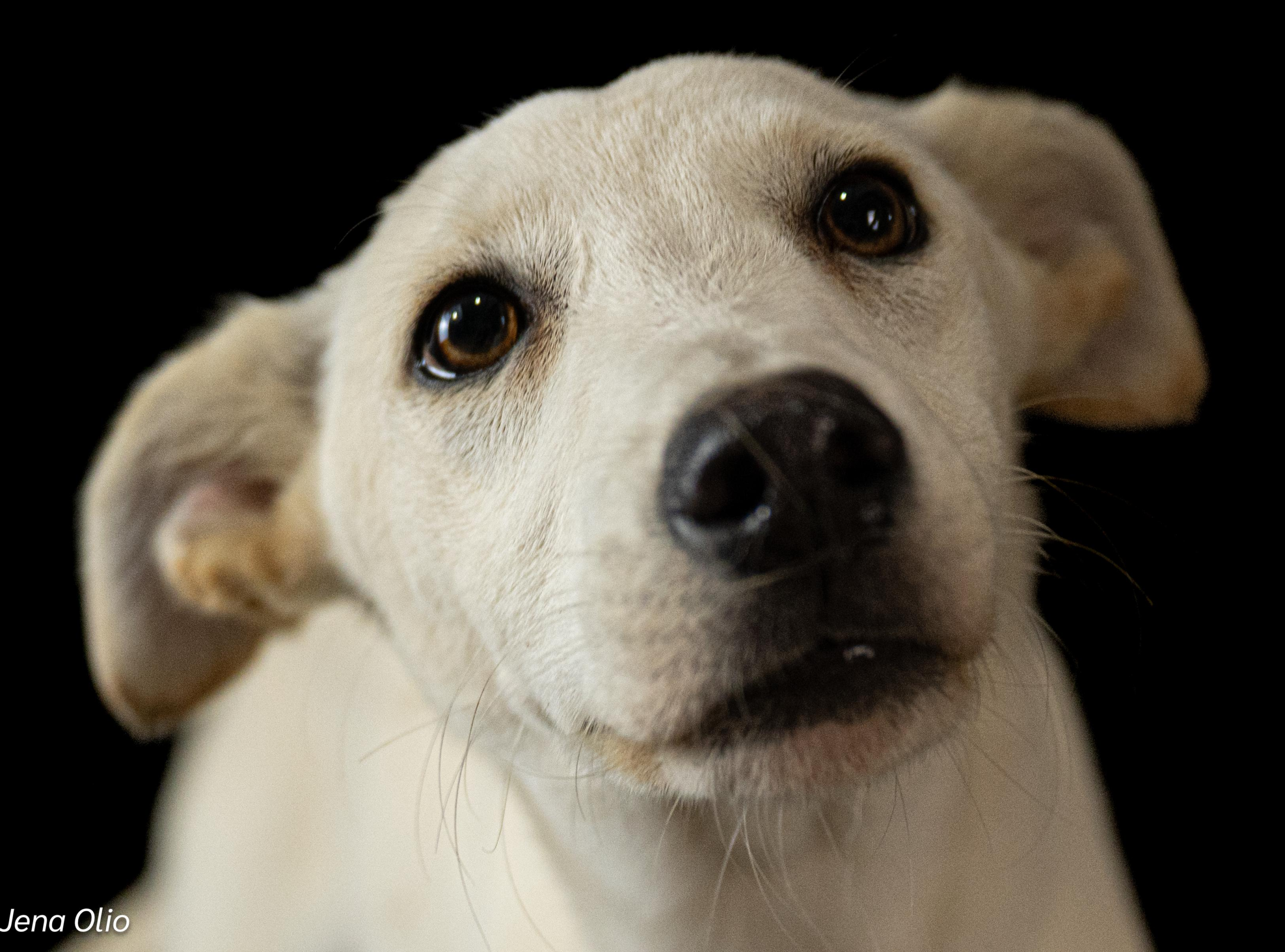 Wilson: Big love comes in small packages - Image 3