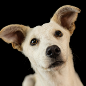 Wilson: Big love comes in small packages