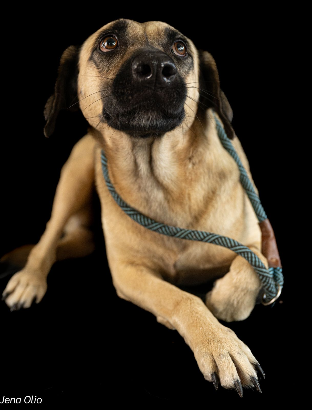 Erica – Your Regal, Ready-to-Love Companion & Devoted Princess! 👑🐾 - Image 3