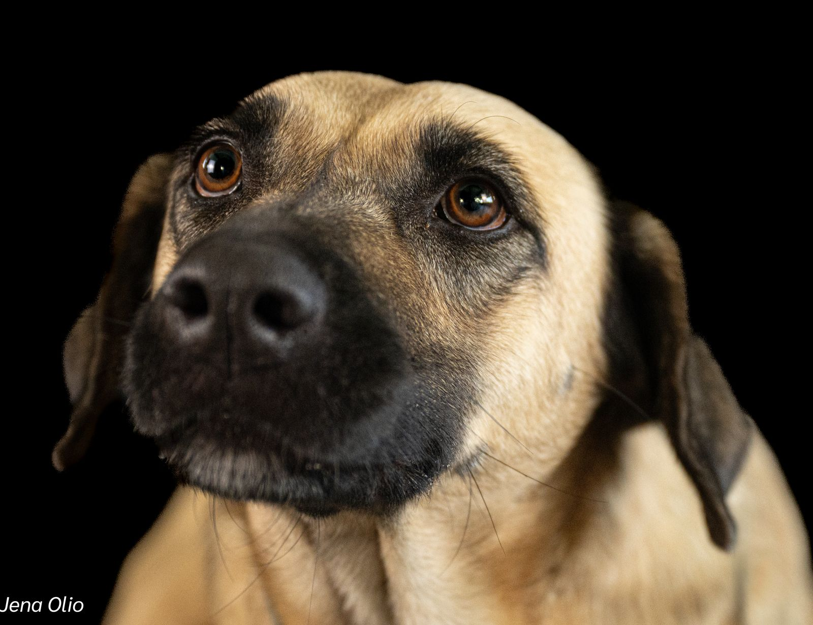 Erica – Your Regal, Ready-to-Love Companion & Devoted Princess! 👑🐾